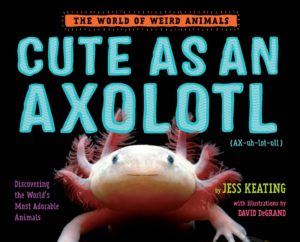 Cute as an Axolotl