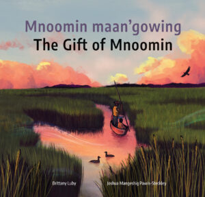 Mnoomin maan’gowing / The Gift of Mnoomin‌